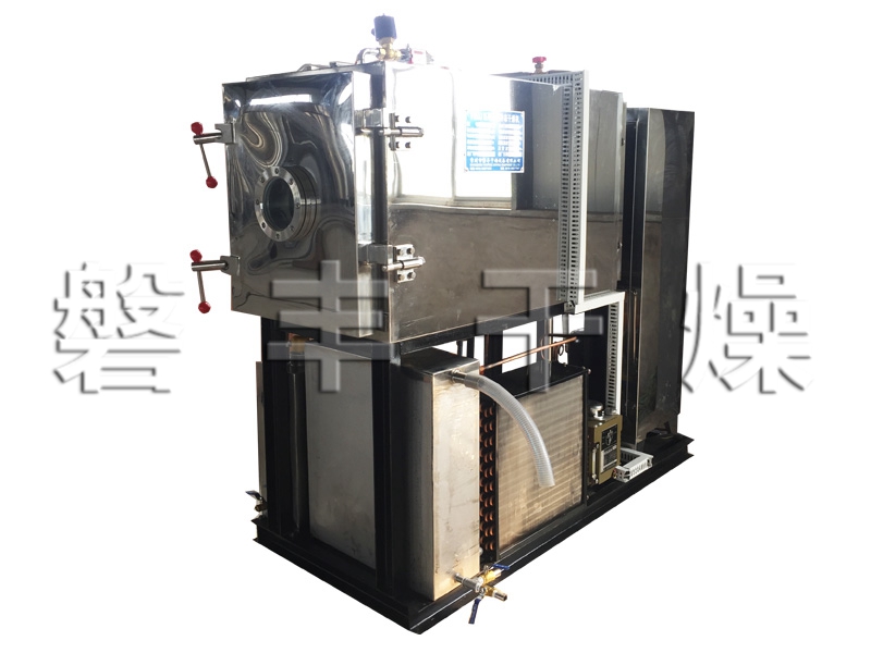 高檔精密真空冷凍干燥機